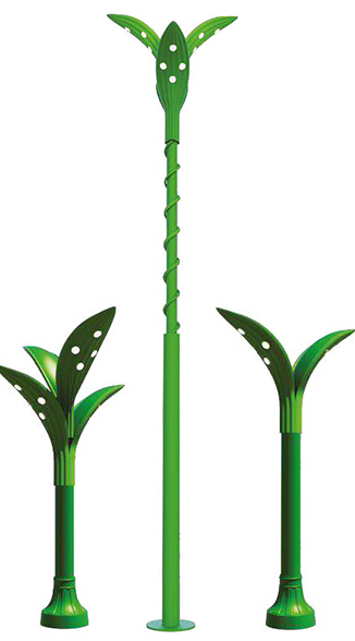Palm